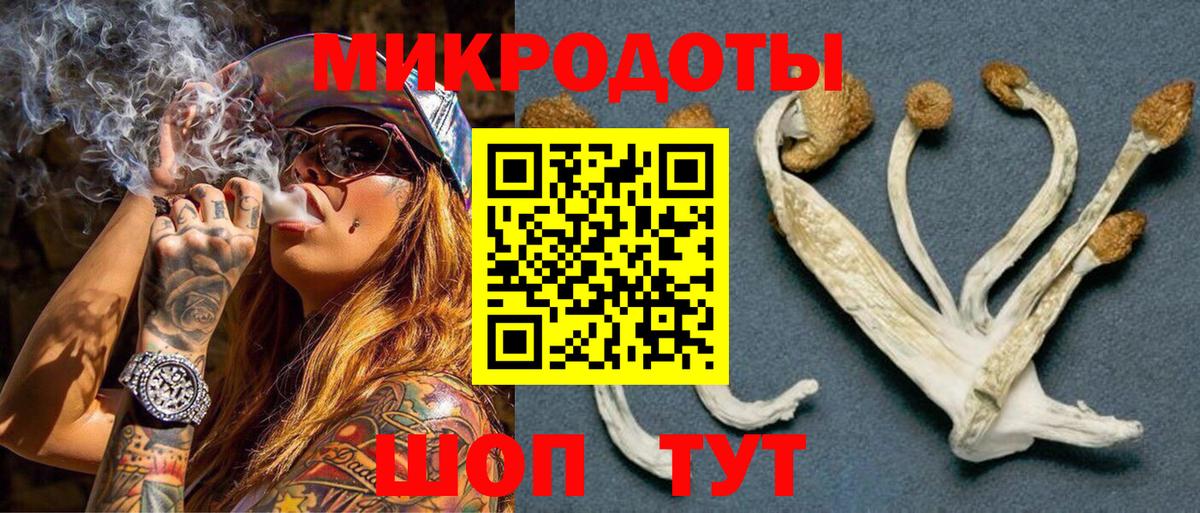 Ялта  Псилоцибиновые грибы Cubensis  Вход с VPN  Псилоцибиновые грибы Cubensis 